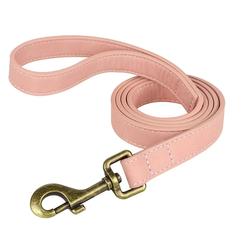 Laisse pour chien cuir