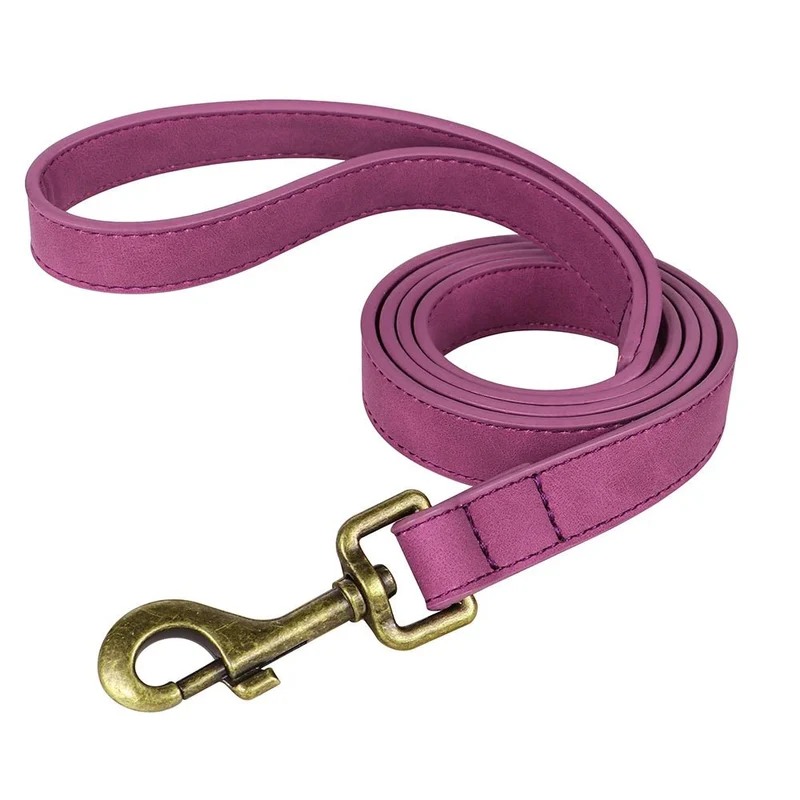 Laisse pour chien cuir
