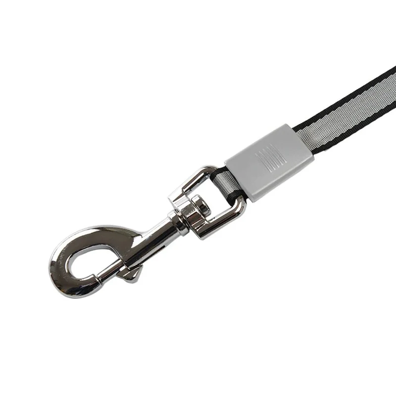 Laisse enrouleur gros chien 80 kg