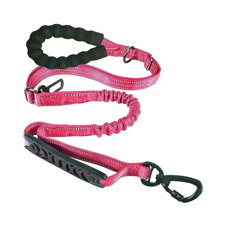 Laisse rétractable pour chien