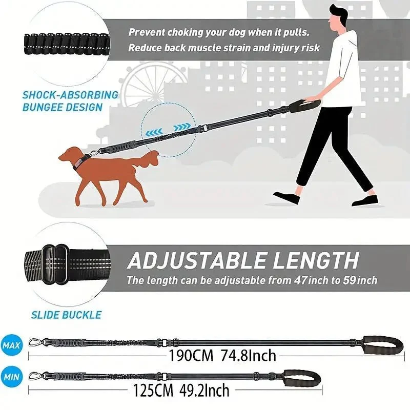 Laisse rétractable pour chien
