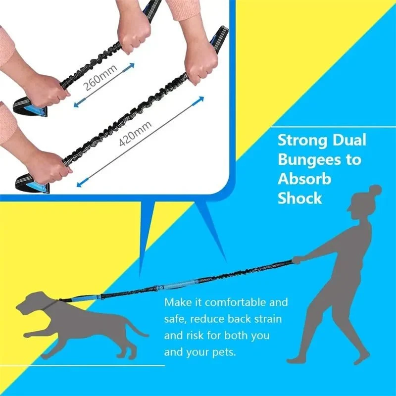 Laisse anti traction pour chien