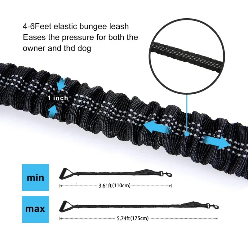 Laisse pour chien rétractable