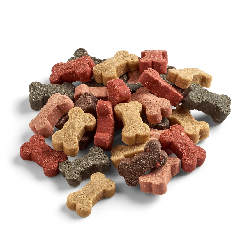 Hundesnack Training