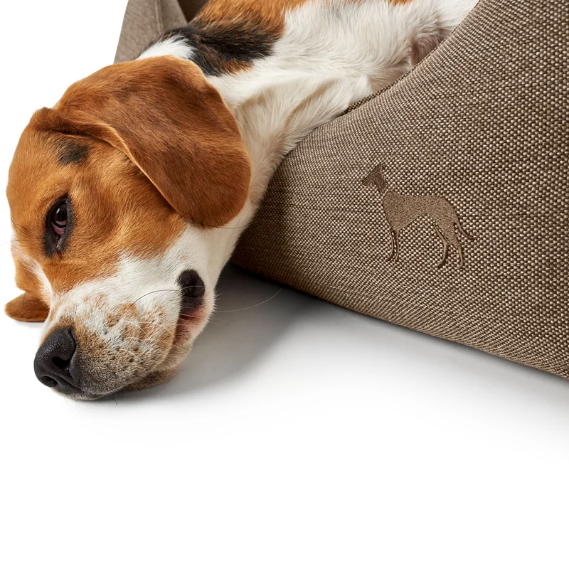 Hundesofa Livingston