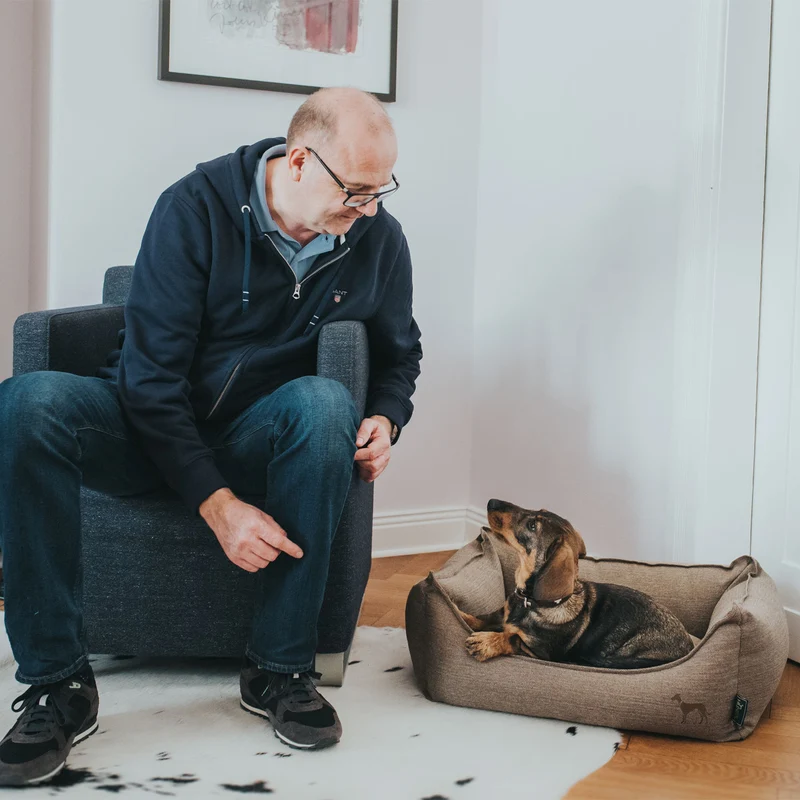 Hundesofa Livingston