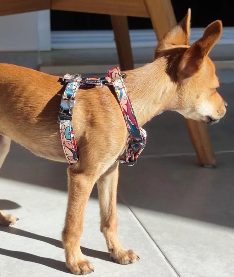 Arnés H para perro Malda
