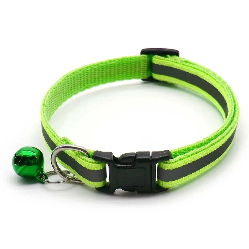 Collier chiot 4 mois