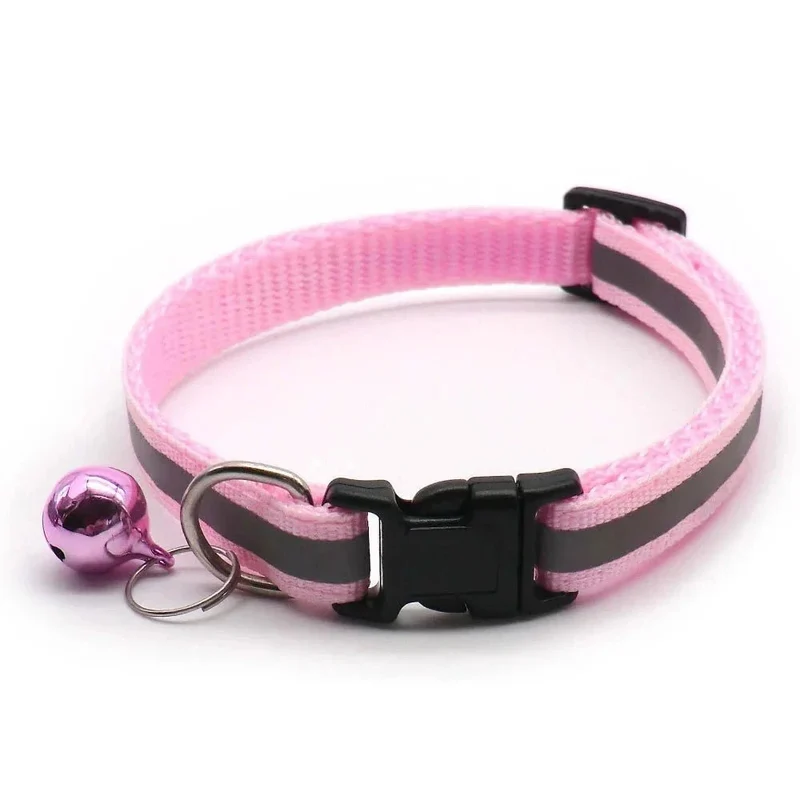 Collier chiot 4 mois