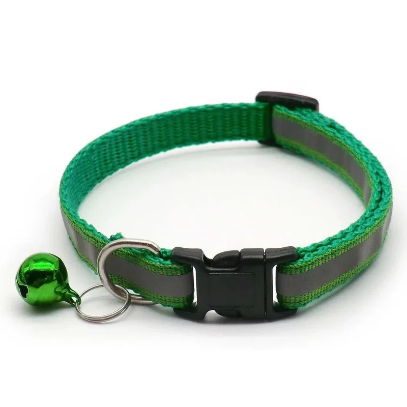 Collier chiot 4 mois