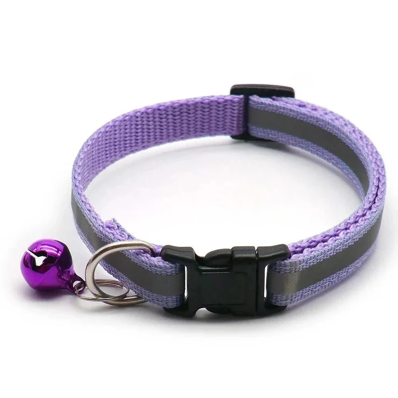 Collier chiot 4 mois
