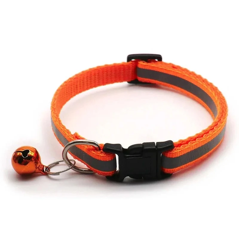 Collier chiot 4 mois