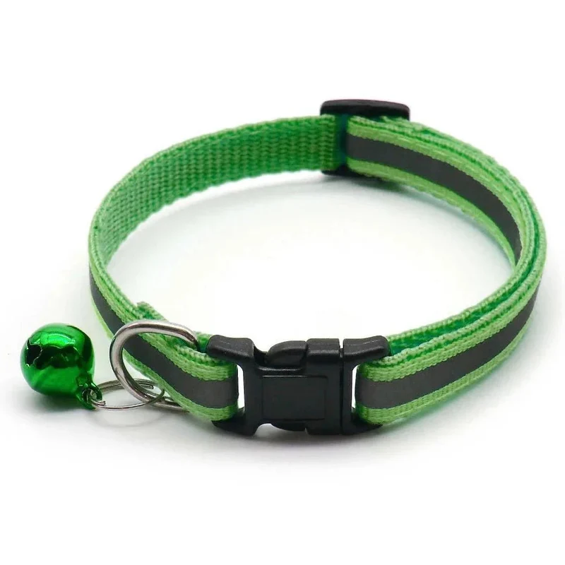 Collier chiot 4 mois