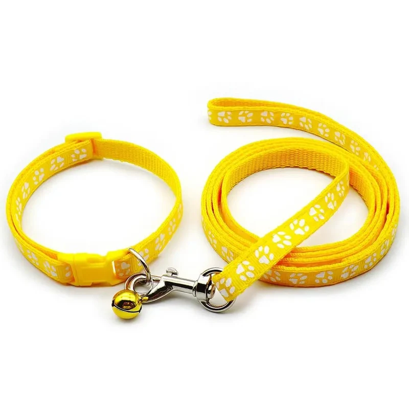 Laisse collier chiot