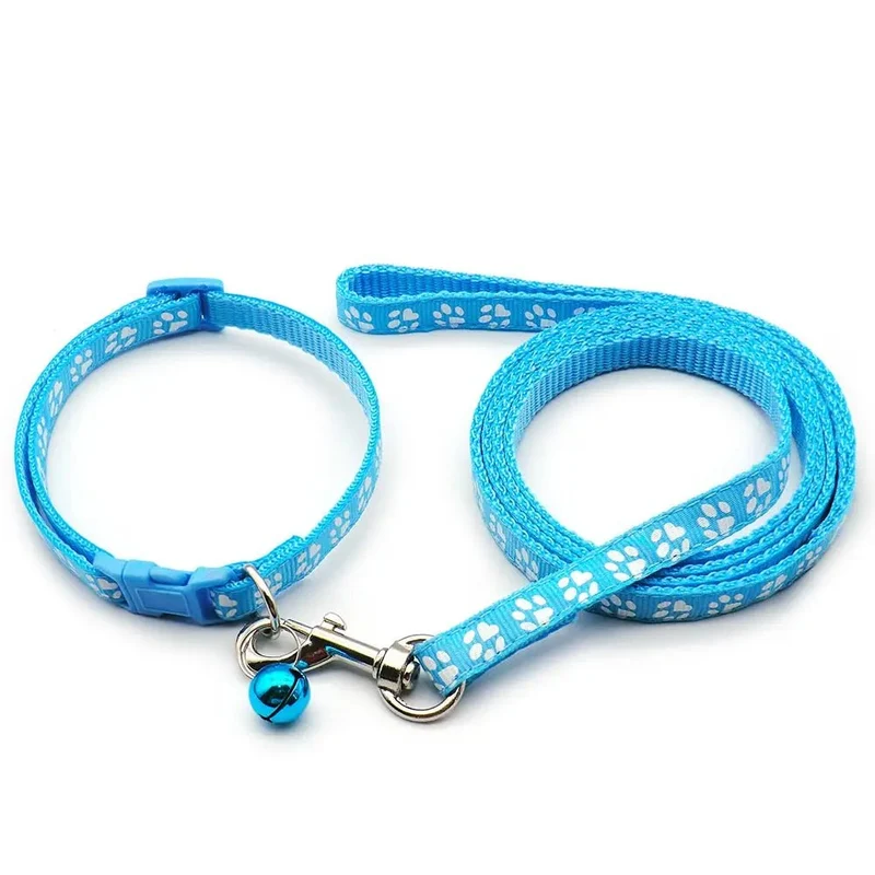 Laisse collier chiot