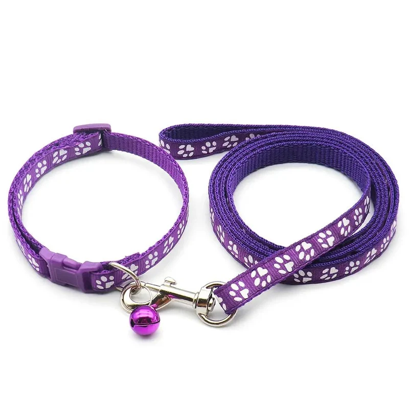 Laisse collier chiot