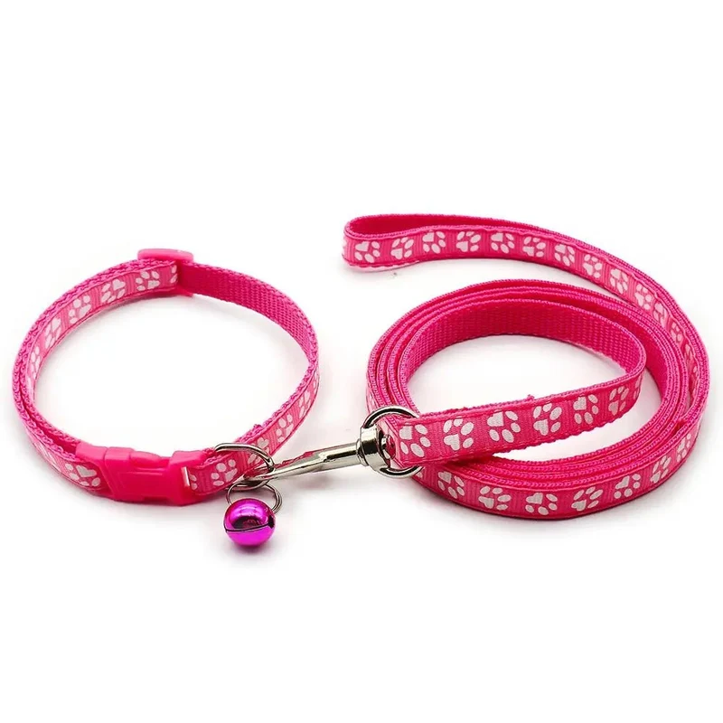 Laisse collier chiot