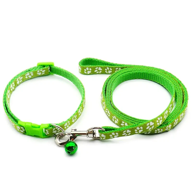 Laisse collier chiot
