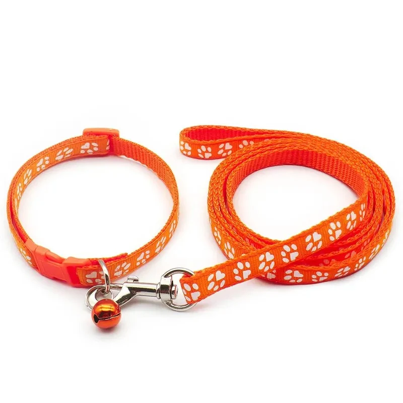 Laisse collier chiot