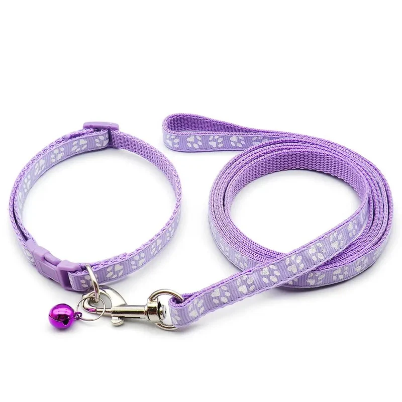 Laisse collier chiot
