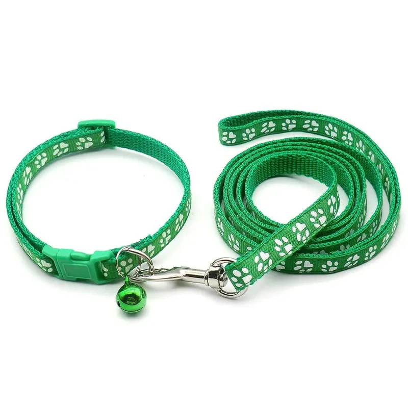 Laisse collier chiot