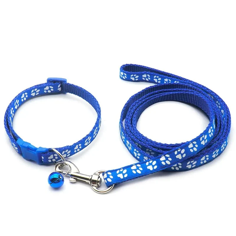 Laisse collier chiot