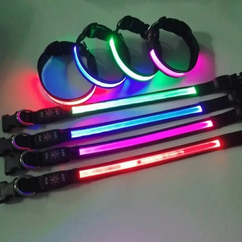 Collier lumineux pour petit chien