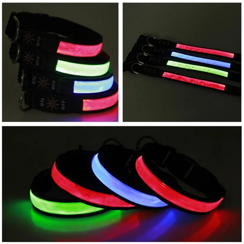 Collier lumineux pour petit chien