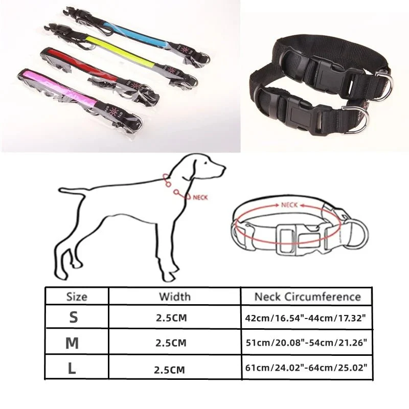 Collier lumineux pour petit chien