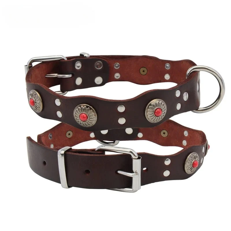 Collier pour chien rottweiler