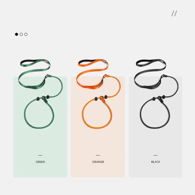 Collier education chiot