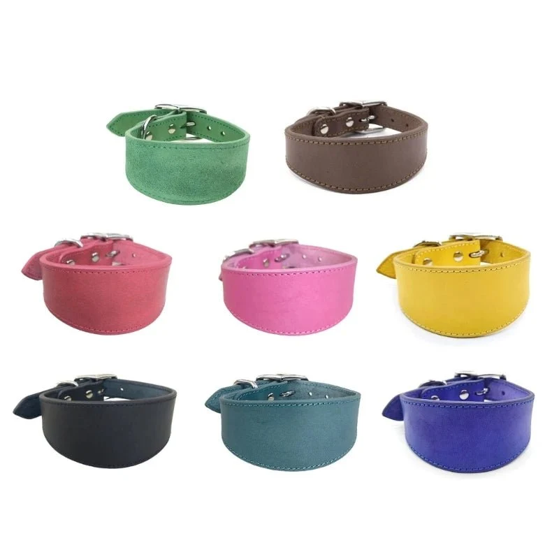 Collier chiot whippet