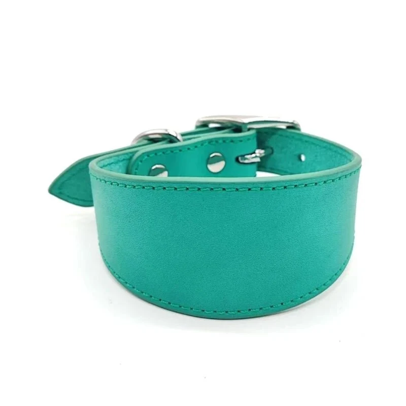 Collier chiot whippet