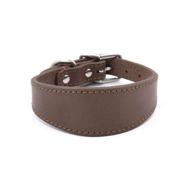Collier chiot whippet