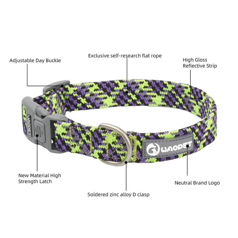 Collier chiot jack russel