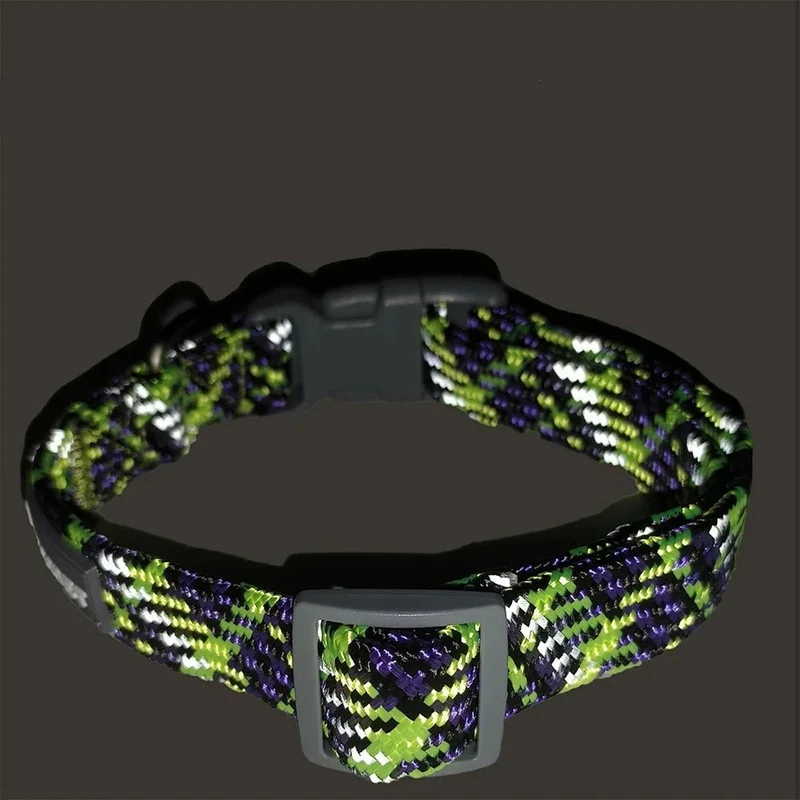 Collier chiot golden retriever