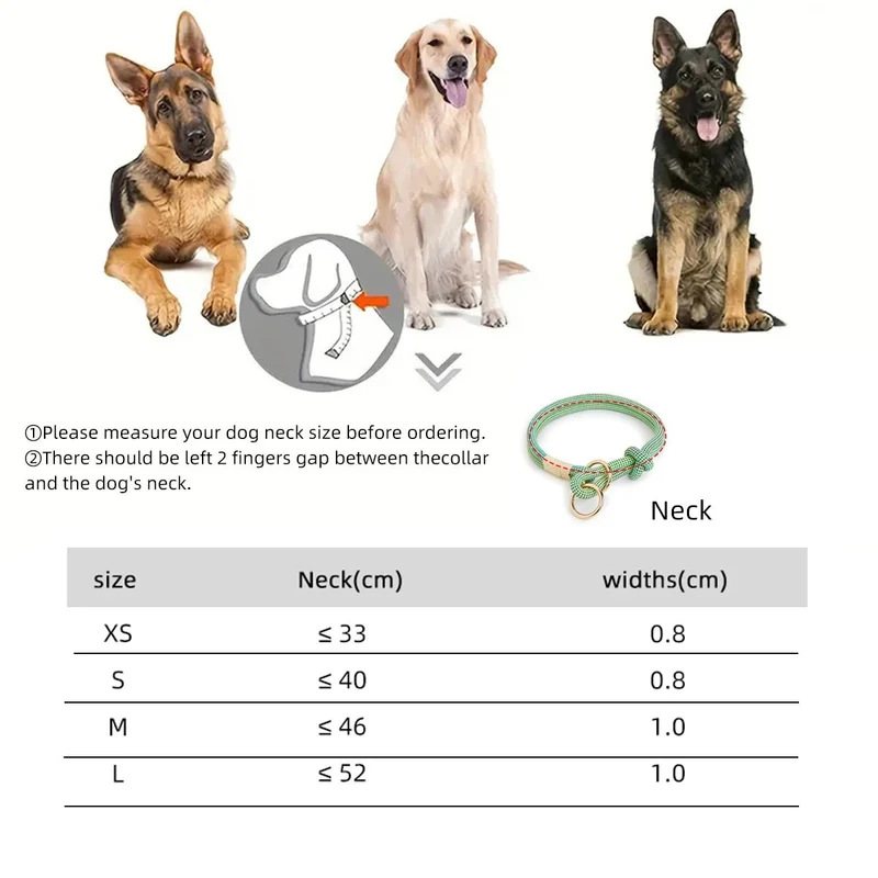 Collier chiot bouldog français