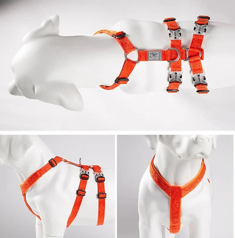 Harnais chien berger allemand