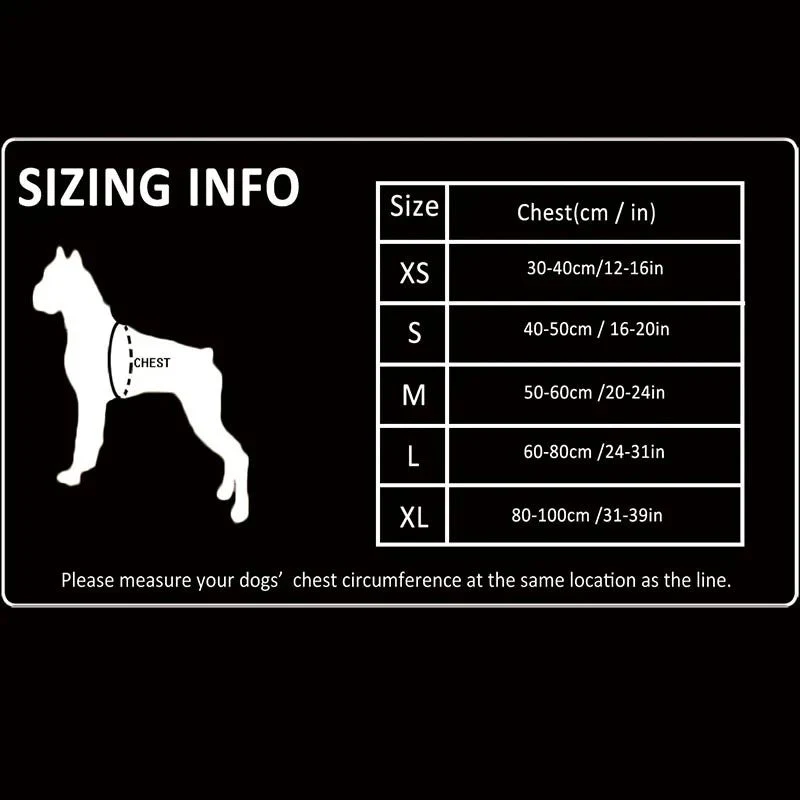 Harnais chien berger allemand