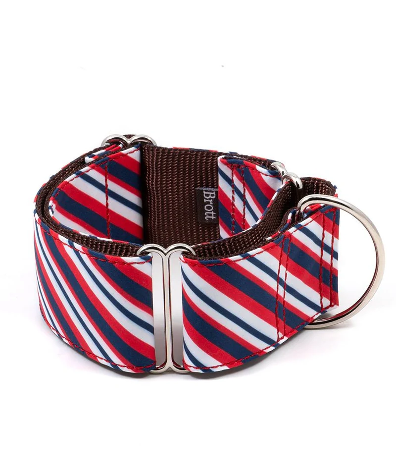 Collar para perro Calella