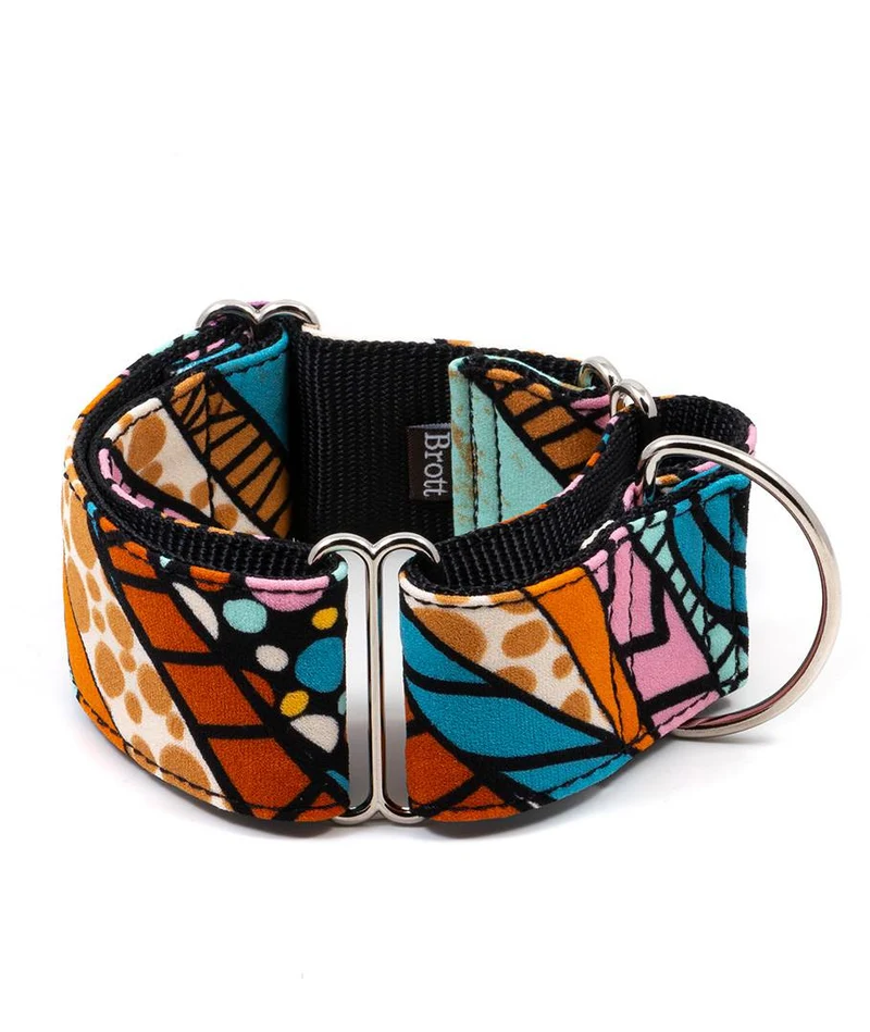 Collar para perro Guell