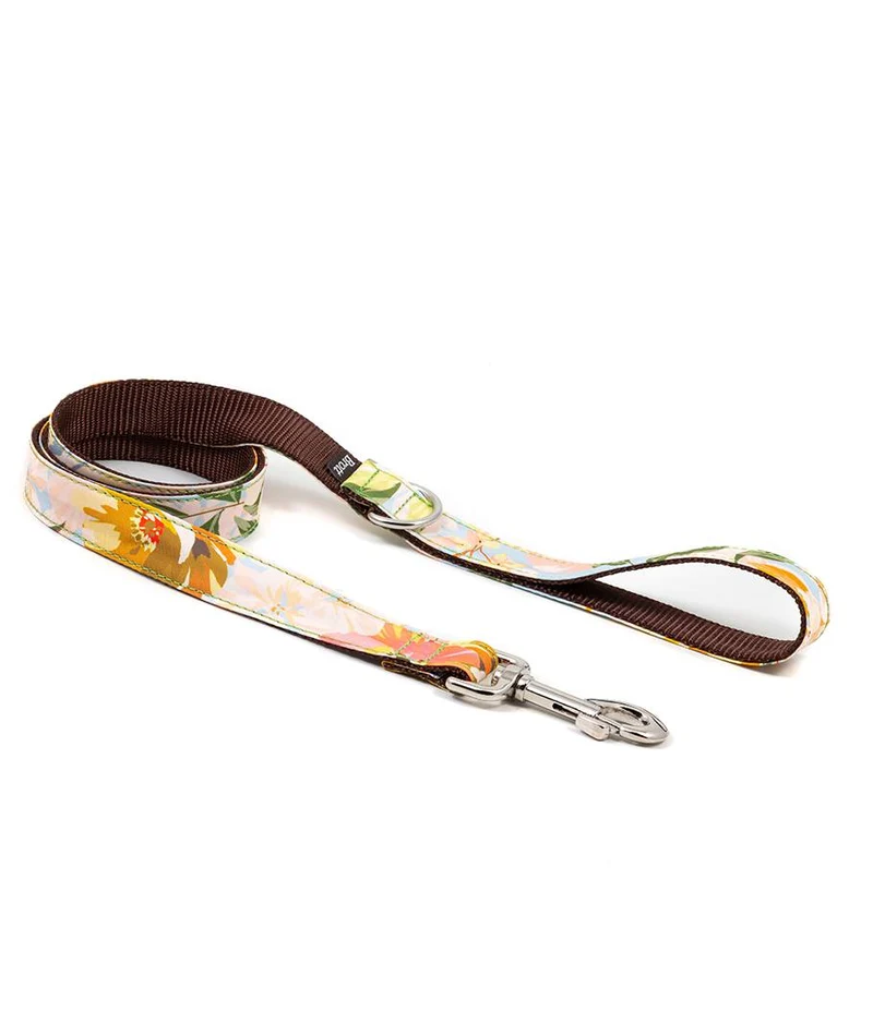 Collar para perro Vilanova