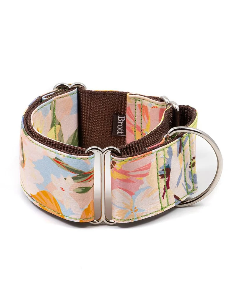Collar para perro Vilanova