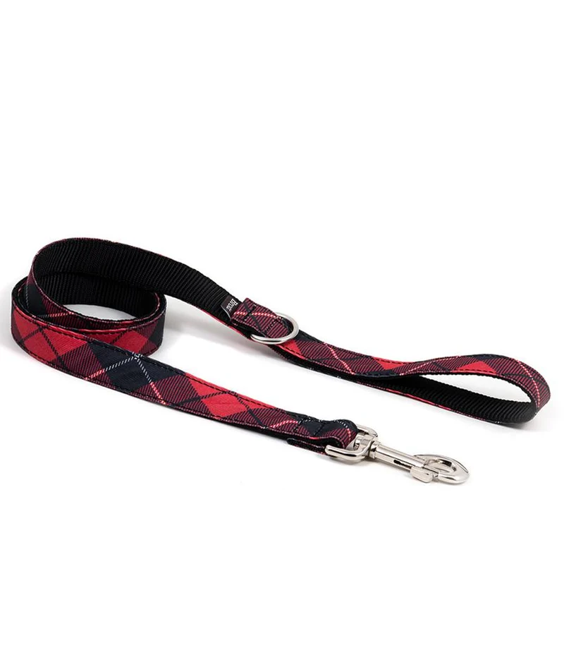 Collar para perro Bolvir