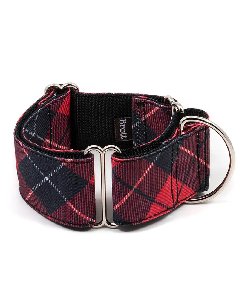 Collar para perro Bolvir