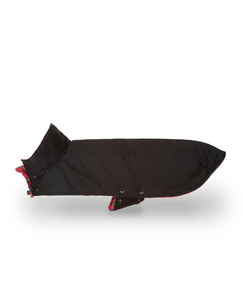 Abrigo para Galgo Black & Tremp