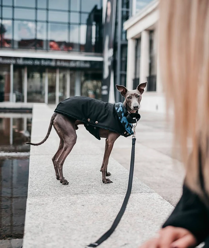 Abrigo para Galgo Black & Das