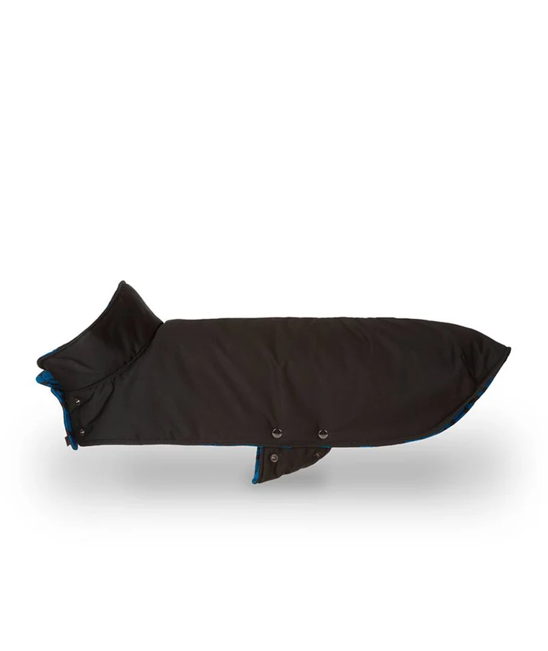Abrigo para Galgo Black & Das