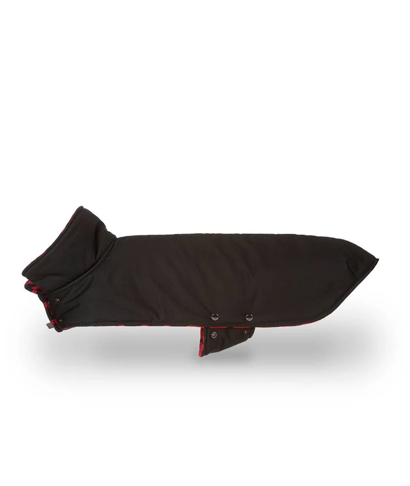 Abrigo para Galgo Black & Sort