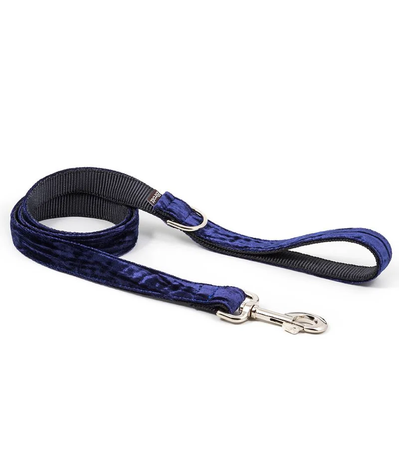 Collar para perro Buseu